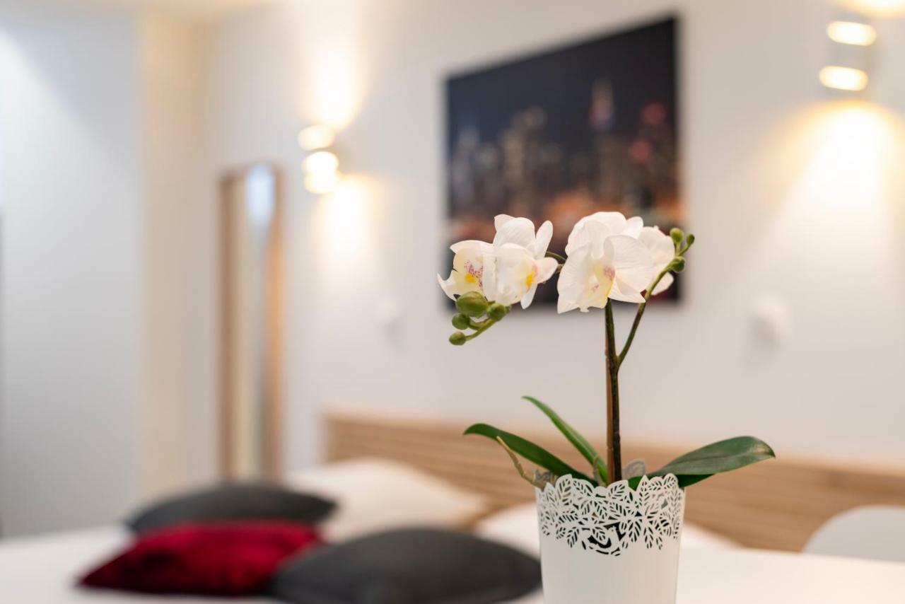 Citycosy Strasbourg - Studio Hirtz Orangerie Екстер'єр фото
