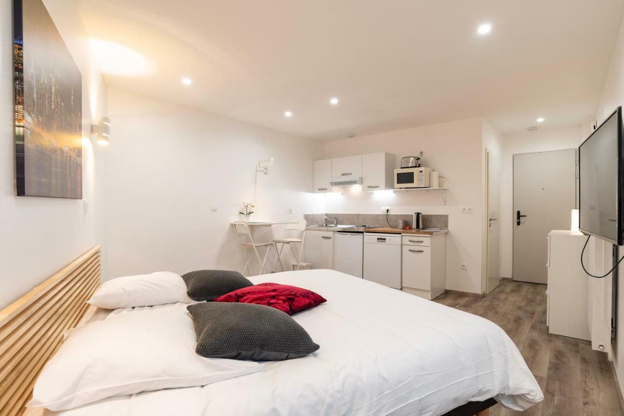 Citycosy Strasbourg - Studio Hirtz Orangerie Екстер'єр фото
